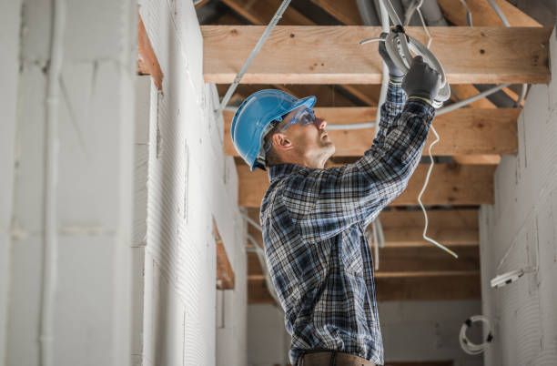 Best Electric Panel Repair  in Whitley City, KY